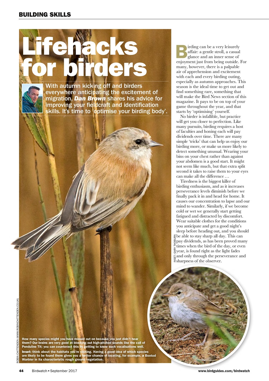 Birdwatch Magazine Preview Pages