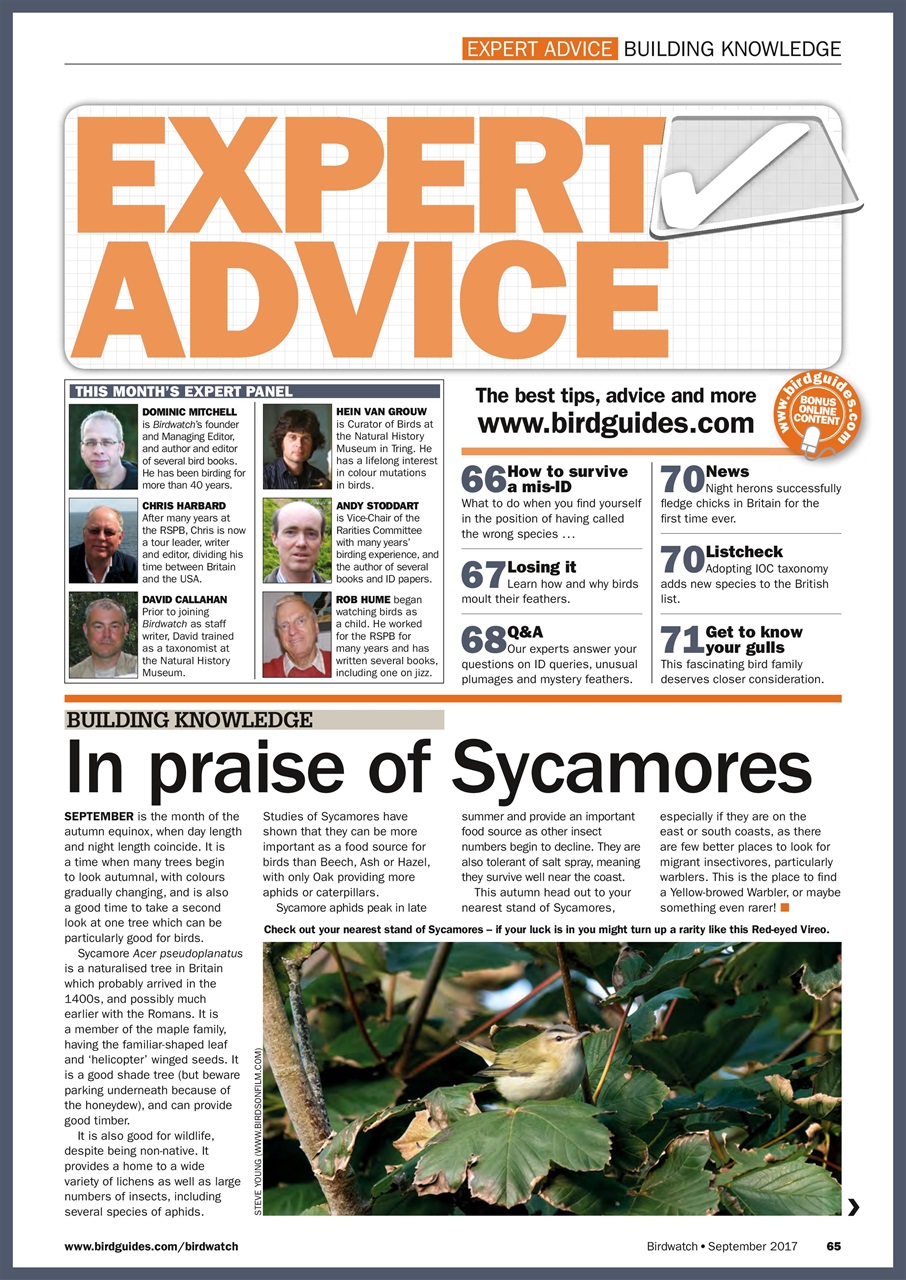 Birdwatch Magazine Preview Pages