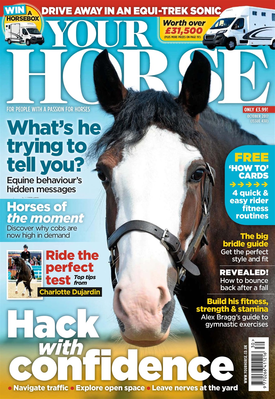 Your Horse Preview Pages