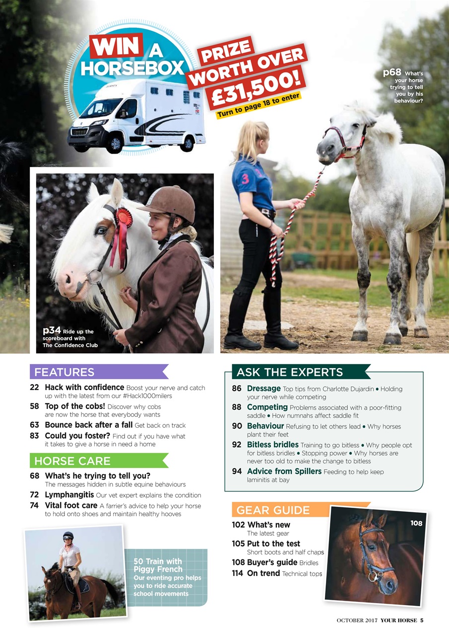 Your Horse Preview Pages