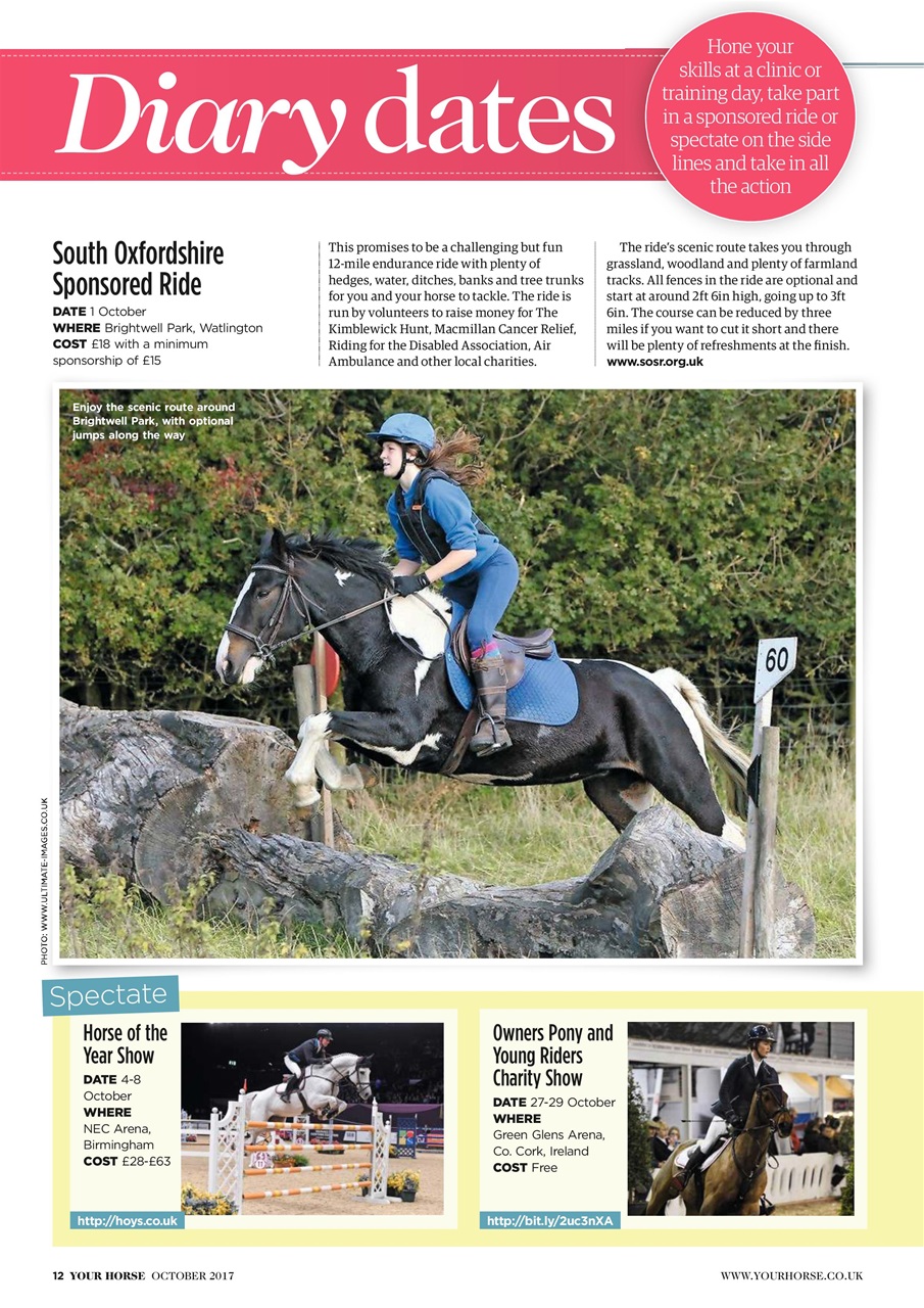 Your Horse Preview Pages