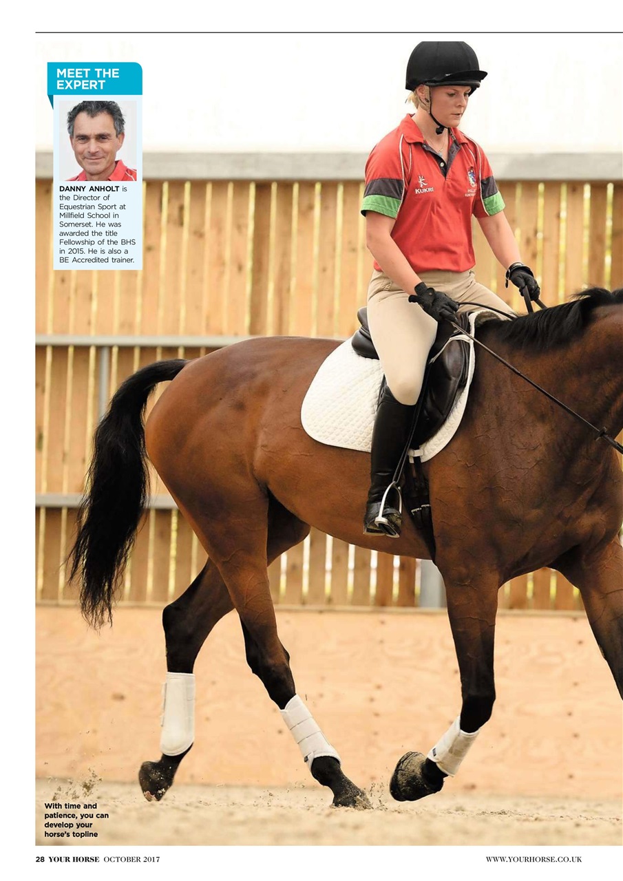 Your Horse Preview Pages