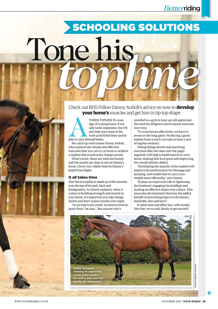 Your Horse Preview Pages