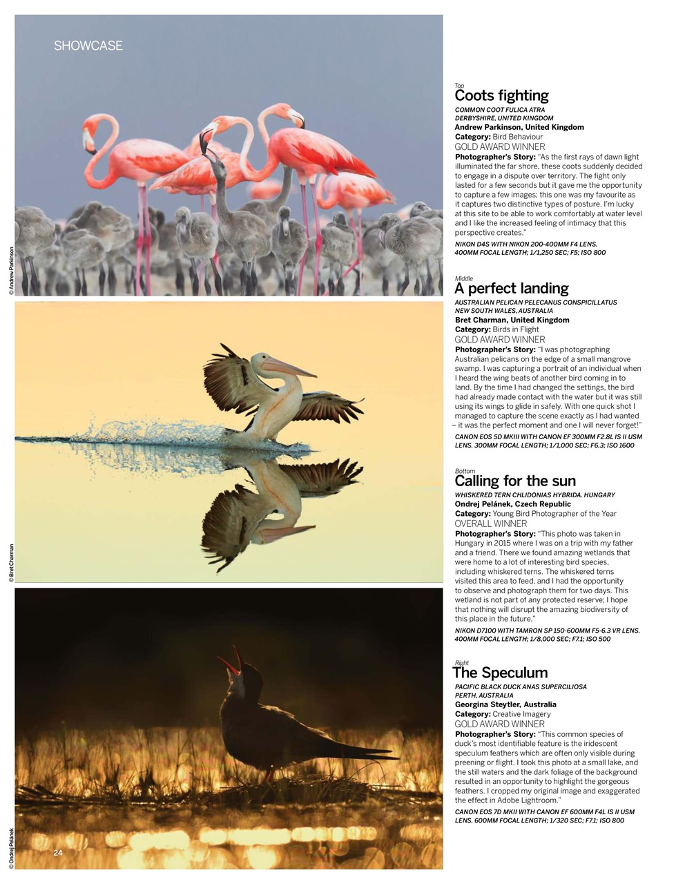 Digital Photographer Preview Pages