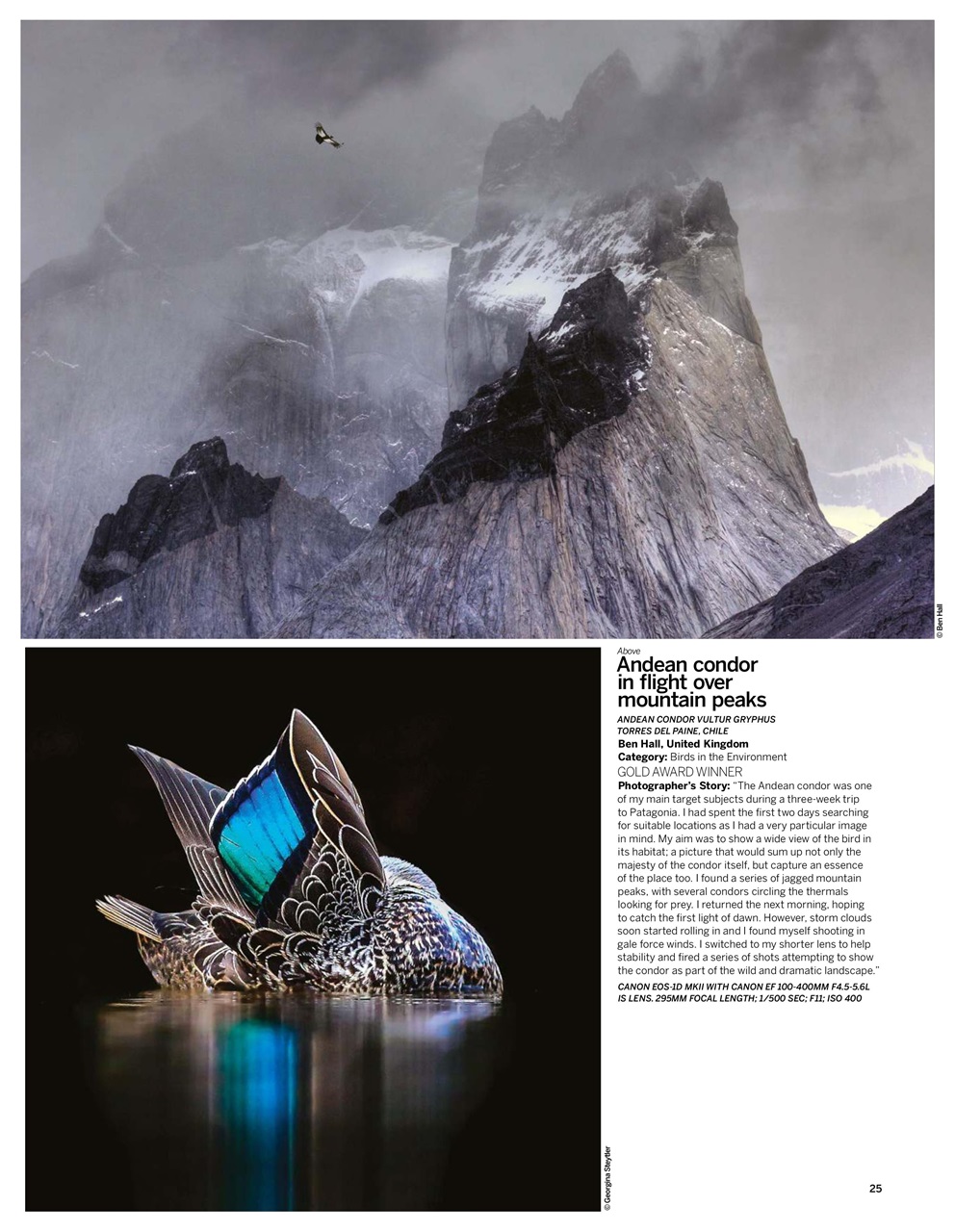 Digital Photographer Preview Pages