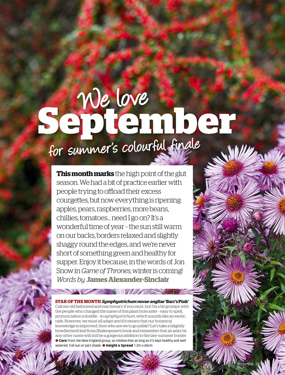 BBC Gardeners’ World Magazine Preview Pages
