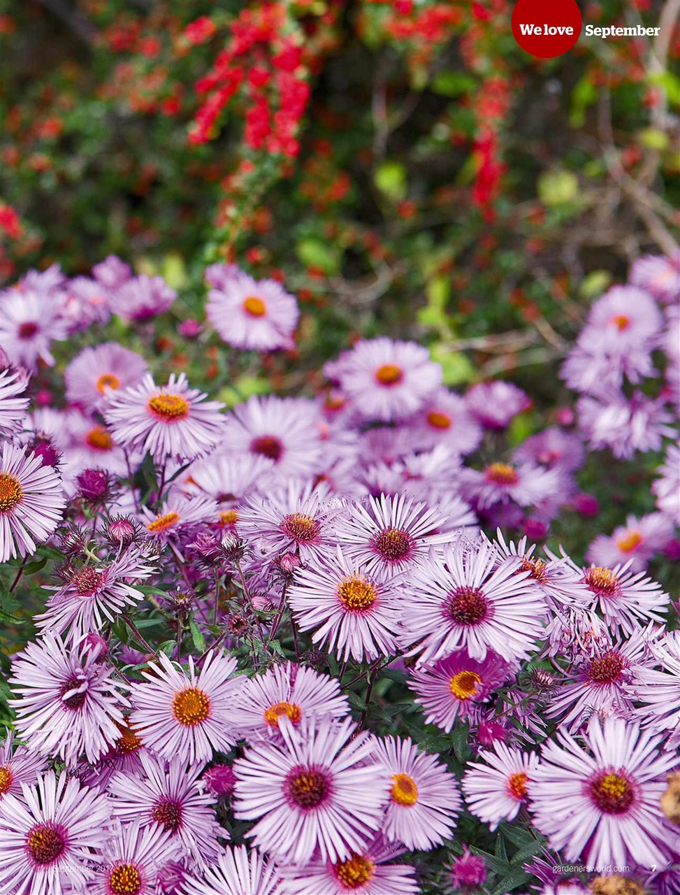 BBC Gardeners’ World Magazine Preview Pages