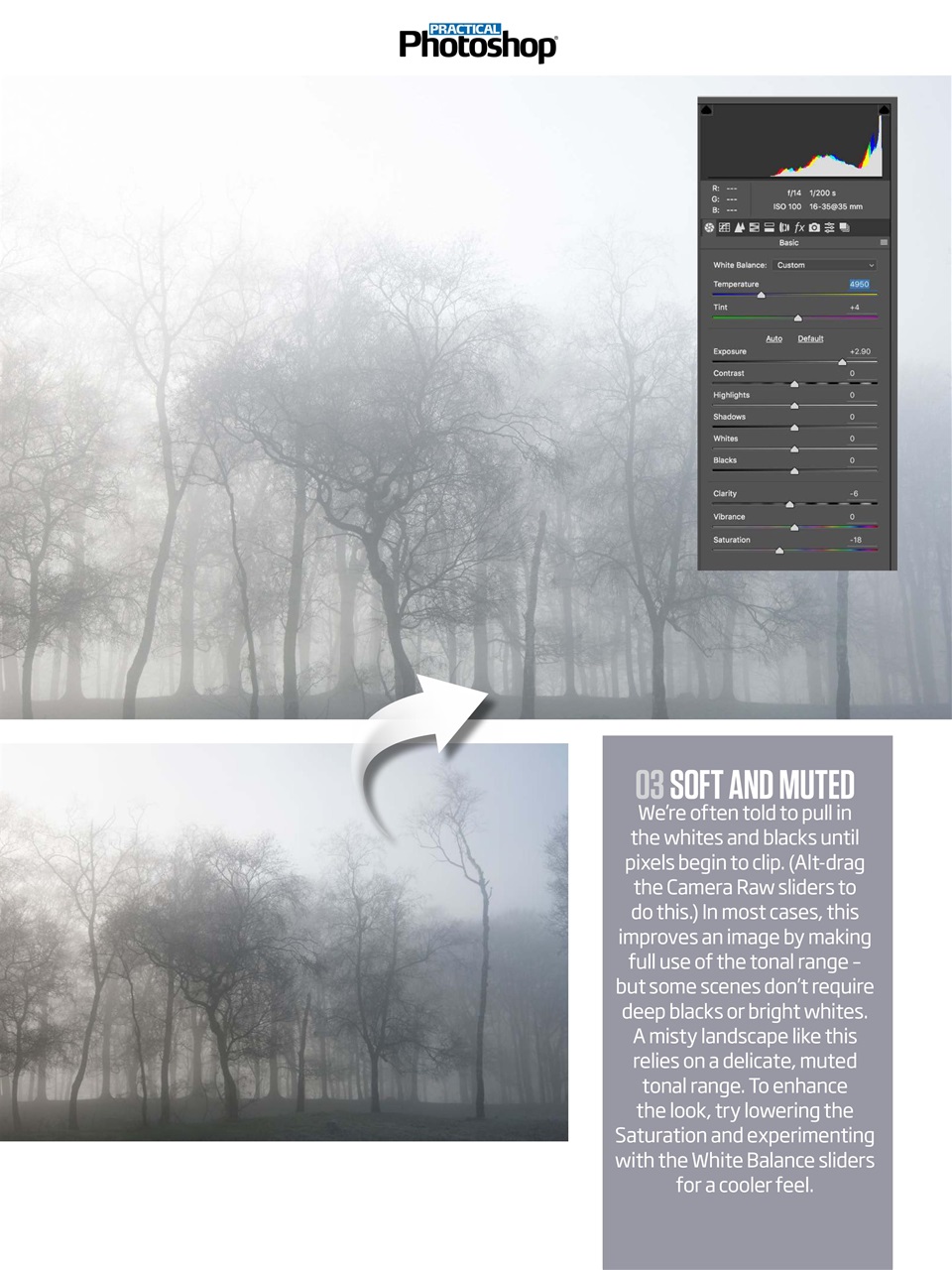 Practical Photoshop Preview Pages