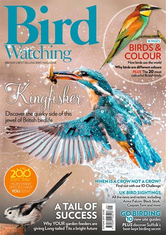 Bird Watching issue Autumn Special 2017