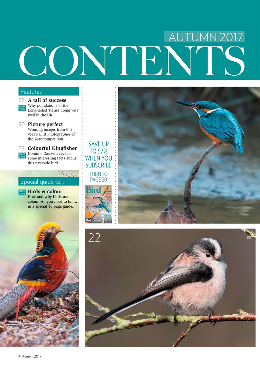 Bird Watching Preview Pages