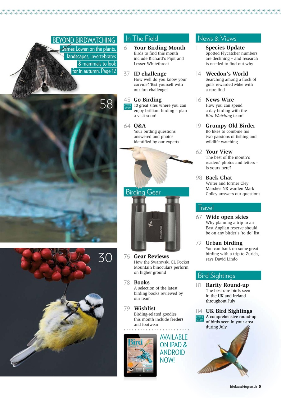 Bird Watching Preview Pages