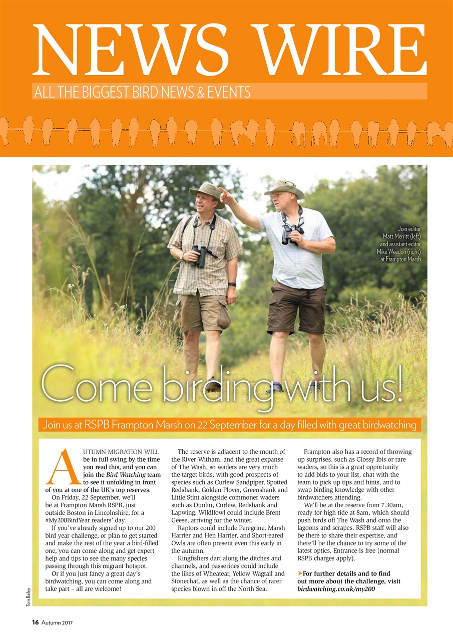 Bird Watching Preview Pages