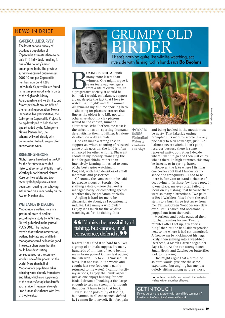 Bird Watching Preview Pages