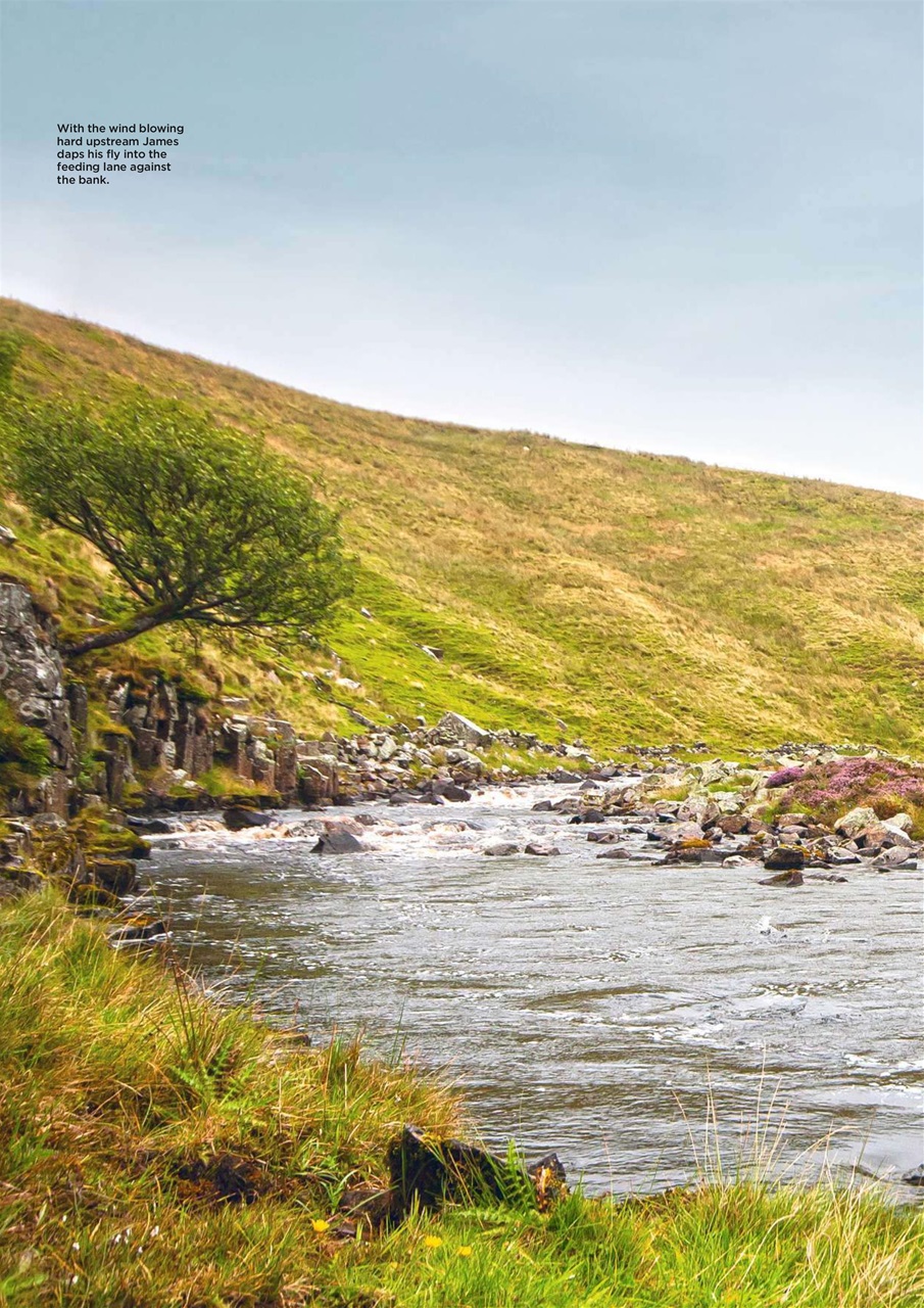 Trout & Salmon Preview Pages