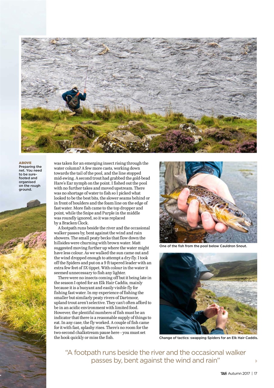 Trout & Salmon Preview Pages