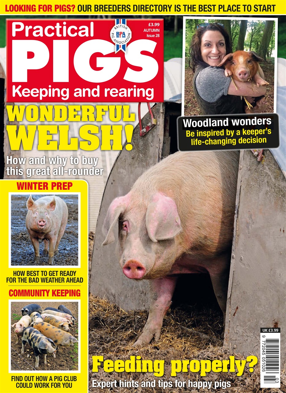 Practical Pigs Preview Pages