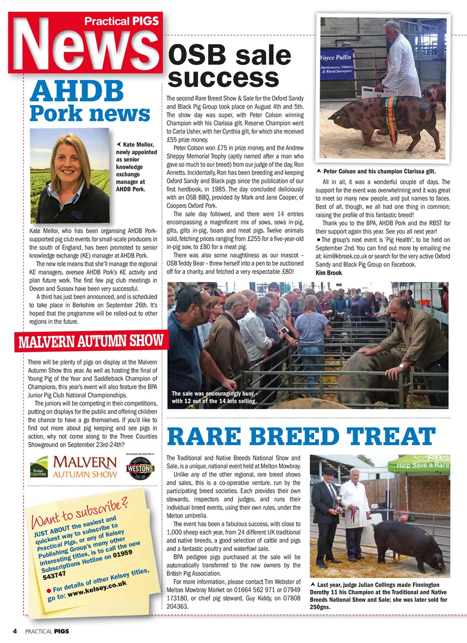 Practical Pigs Preview Pages