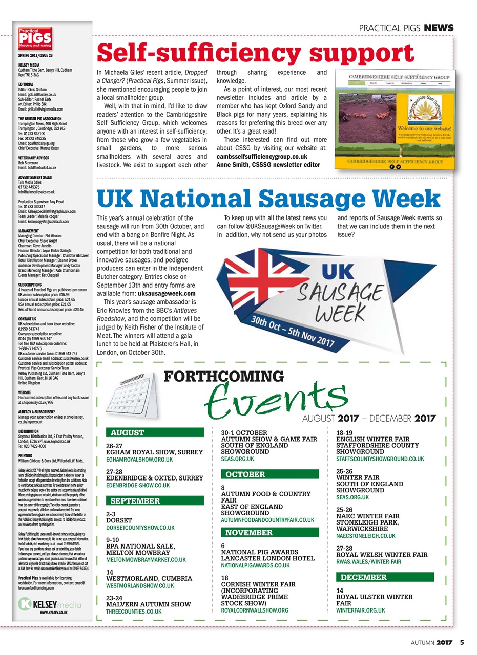 Practical Pigs Preview Pages