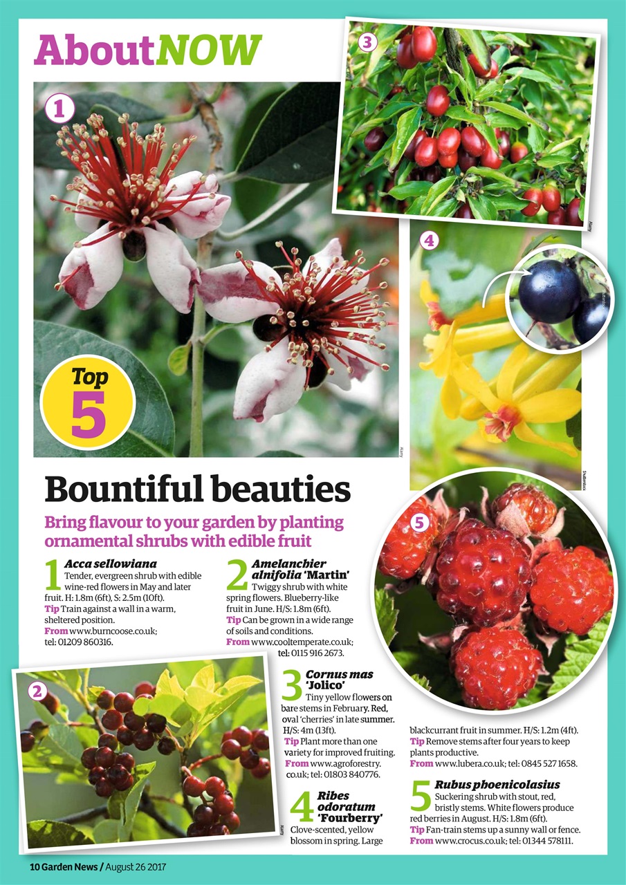 Garden News Preview Pages
