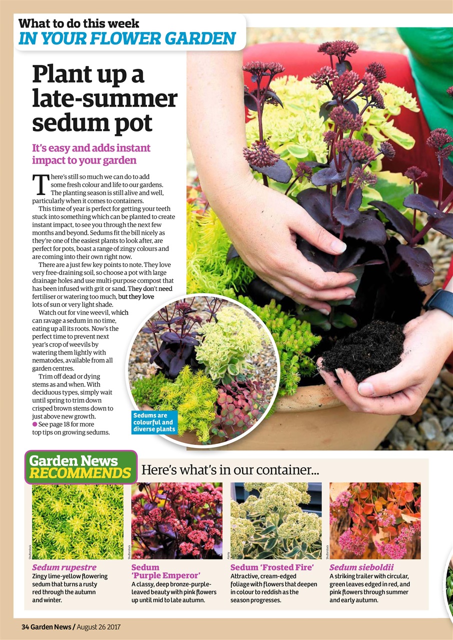 Garden News Preview Pages