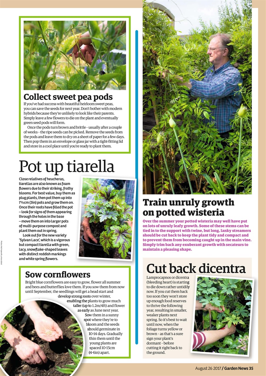 Garden News Preview Pages