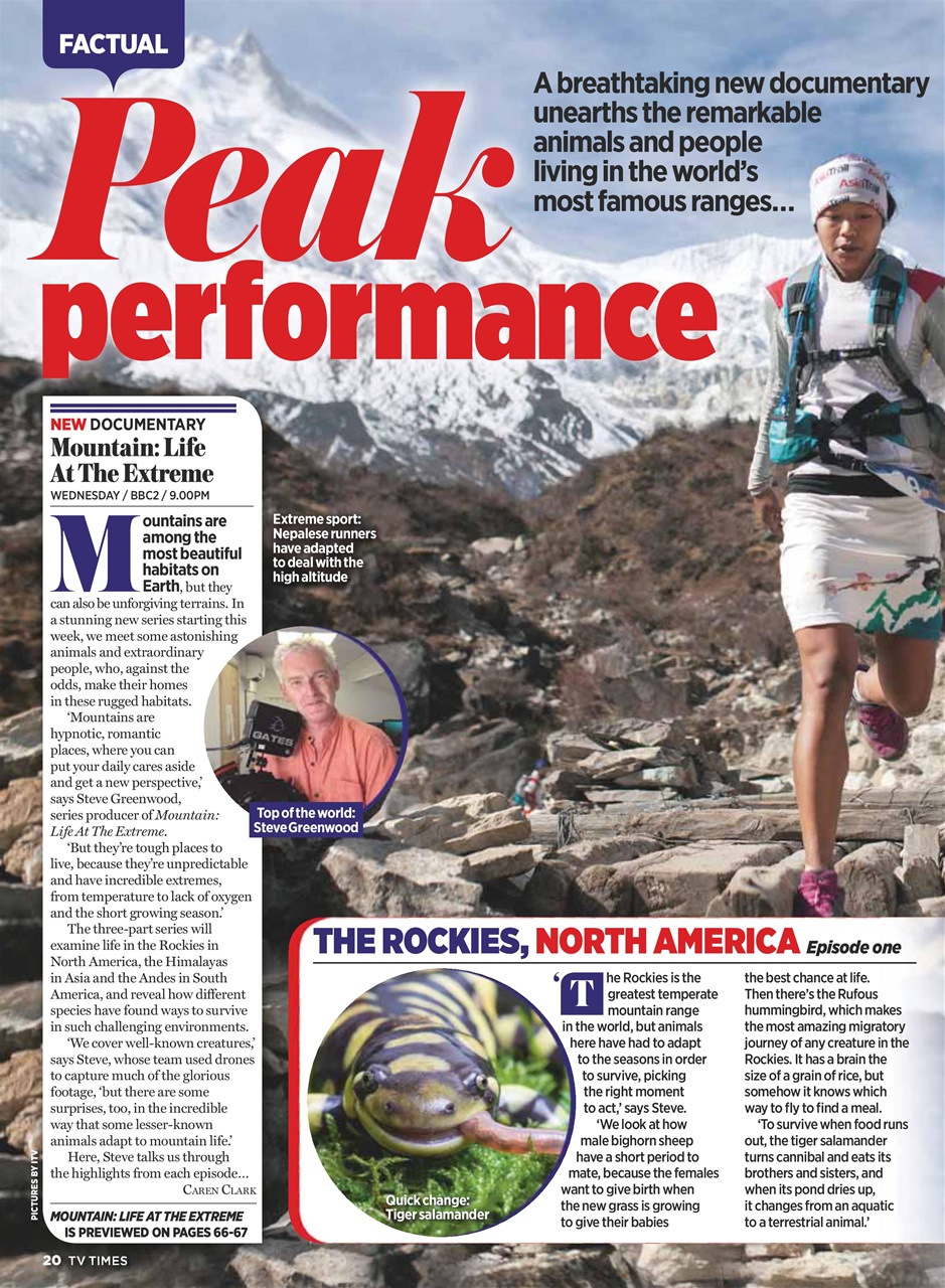 TV Times Preview Pages