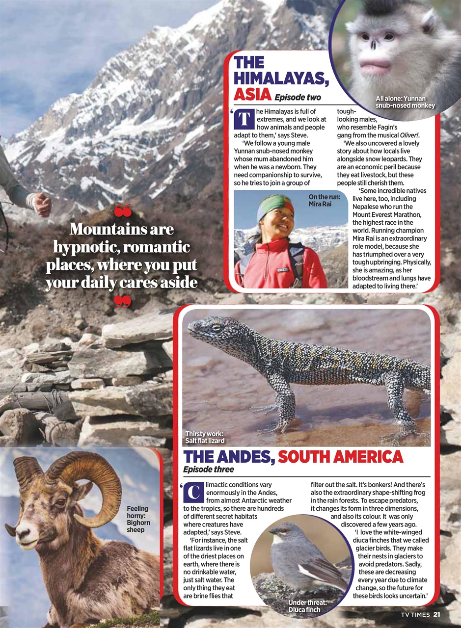 TV Times Preview Pages