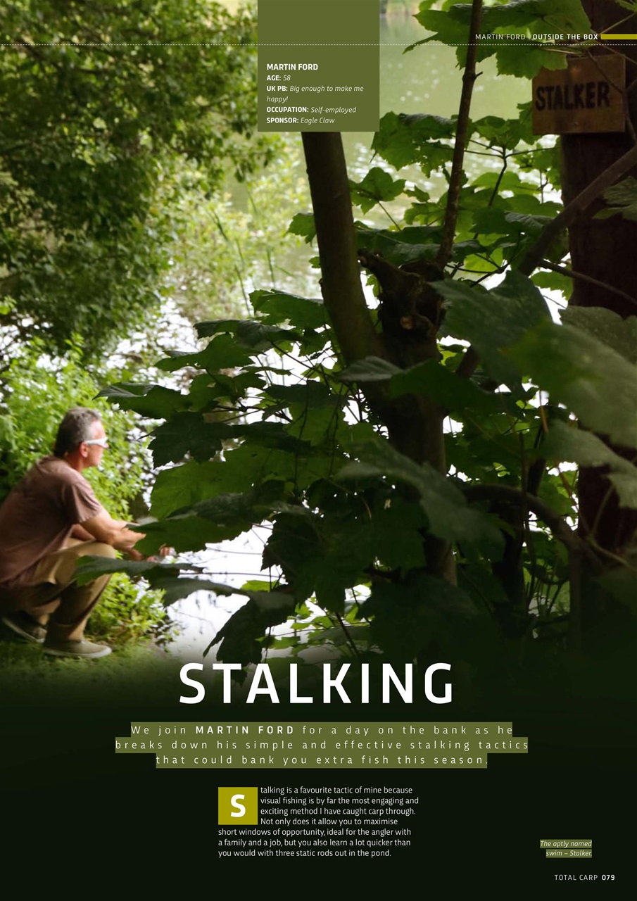 Total Carp Preview Pages