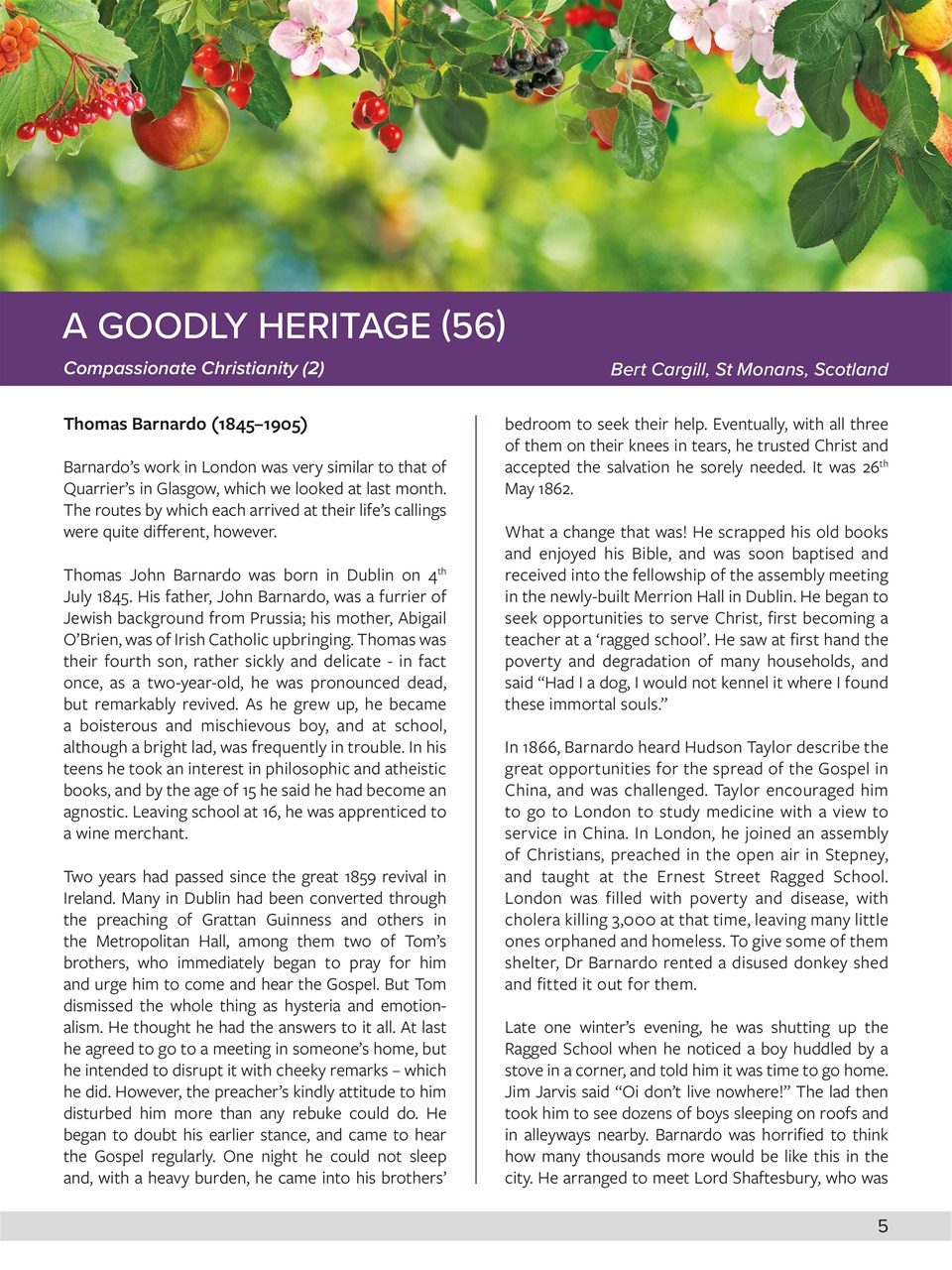 Believer Magazine Preview Pages