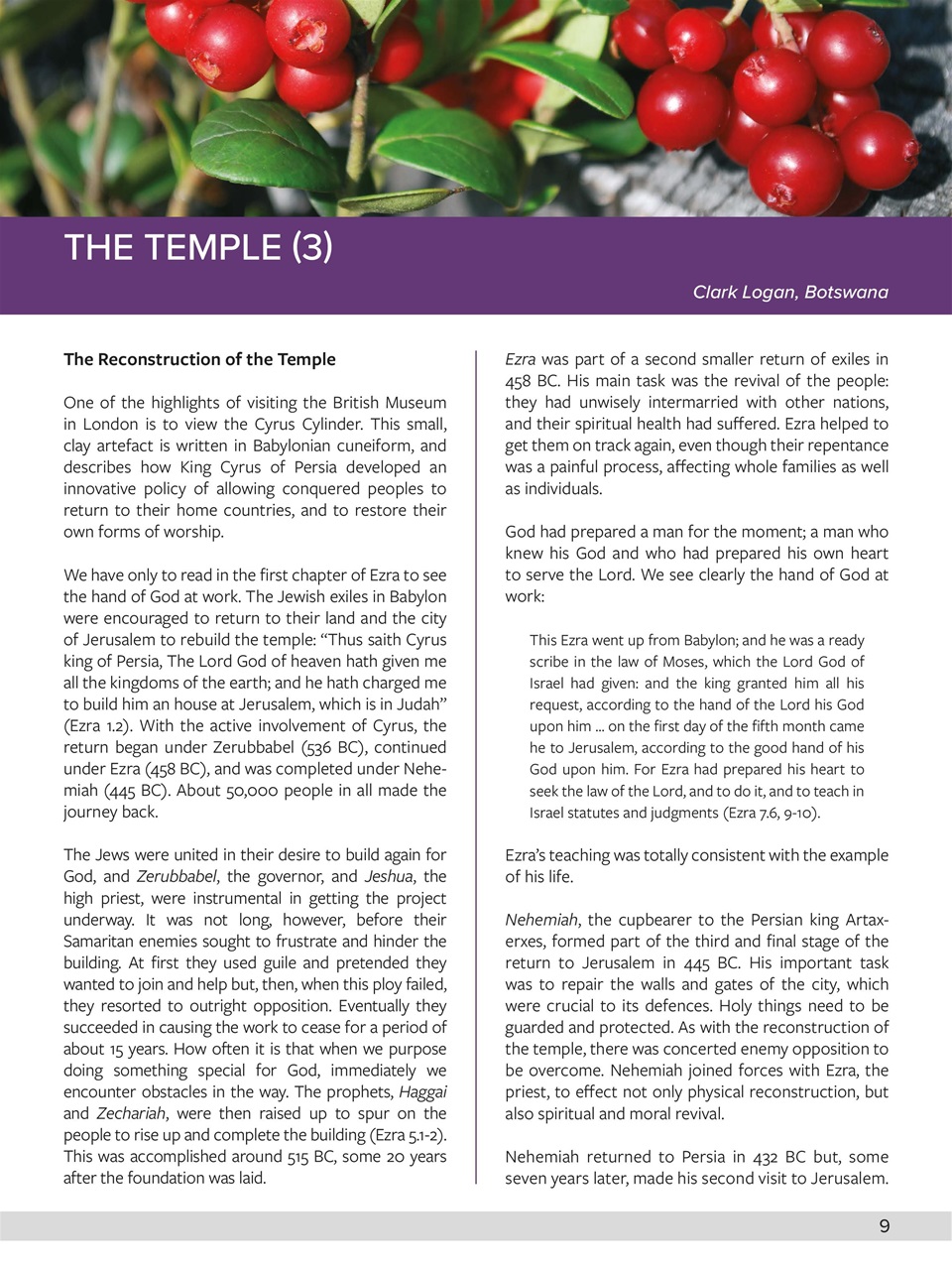 Believer Magazine Preview Pages