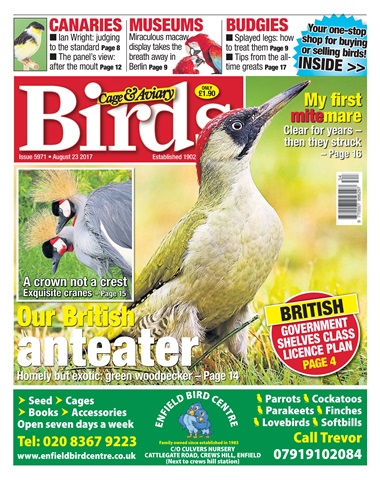 Cage & Aviary Birds issue 23 August 2017