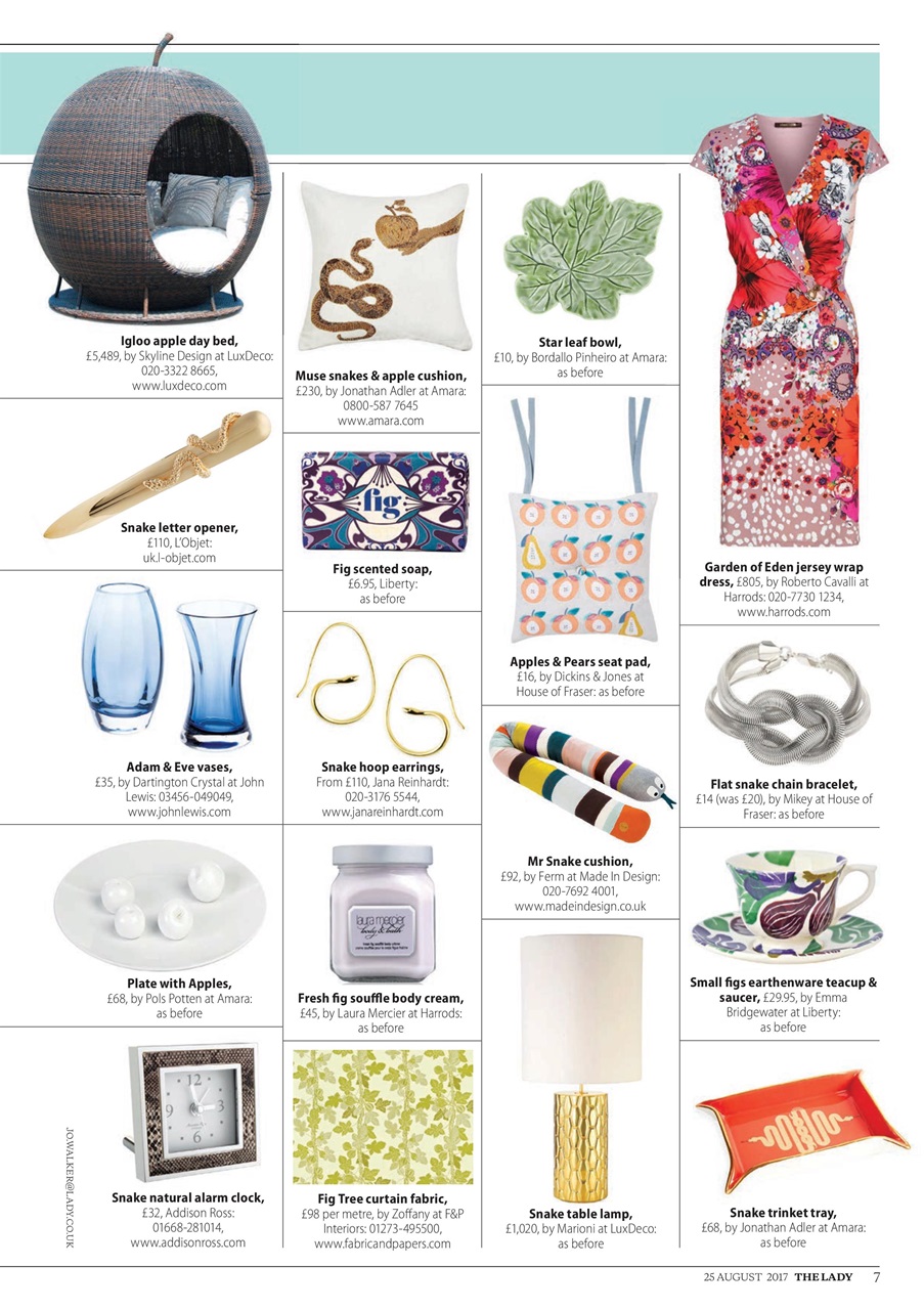 The Lady Preview Pages