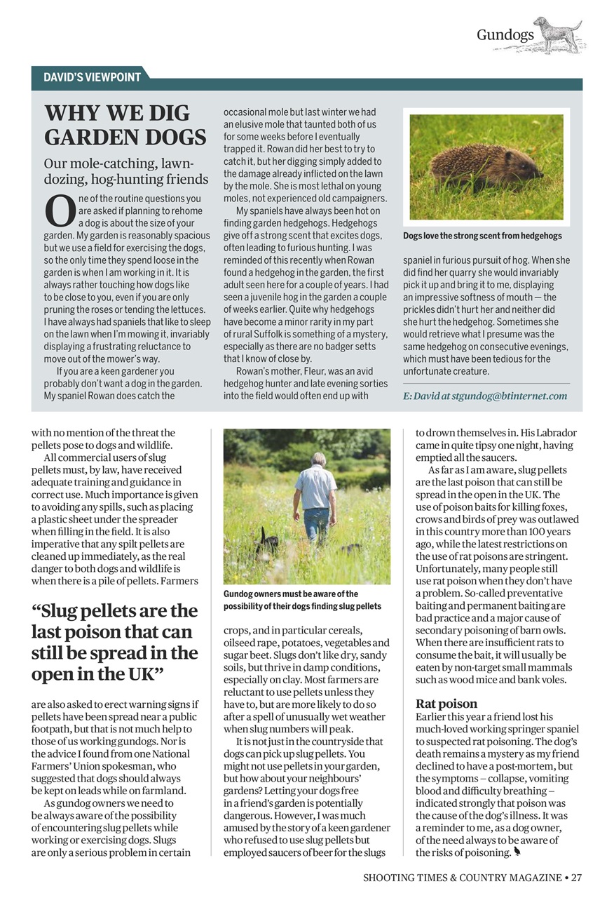 Shooting Times & Country Preview Pages