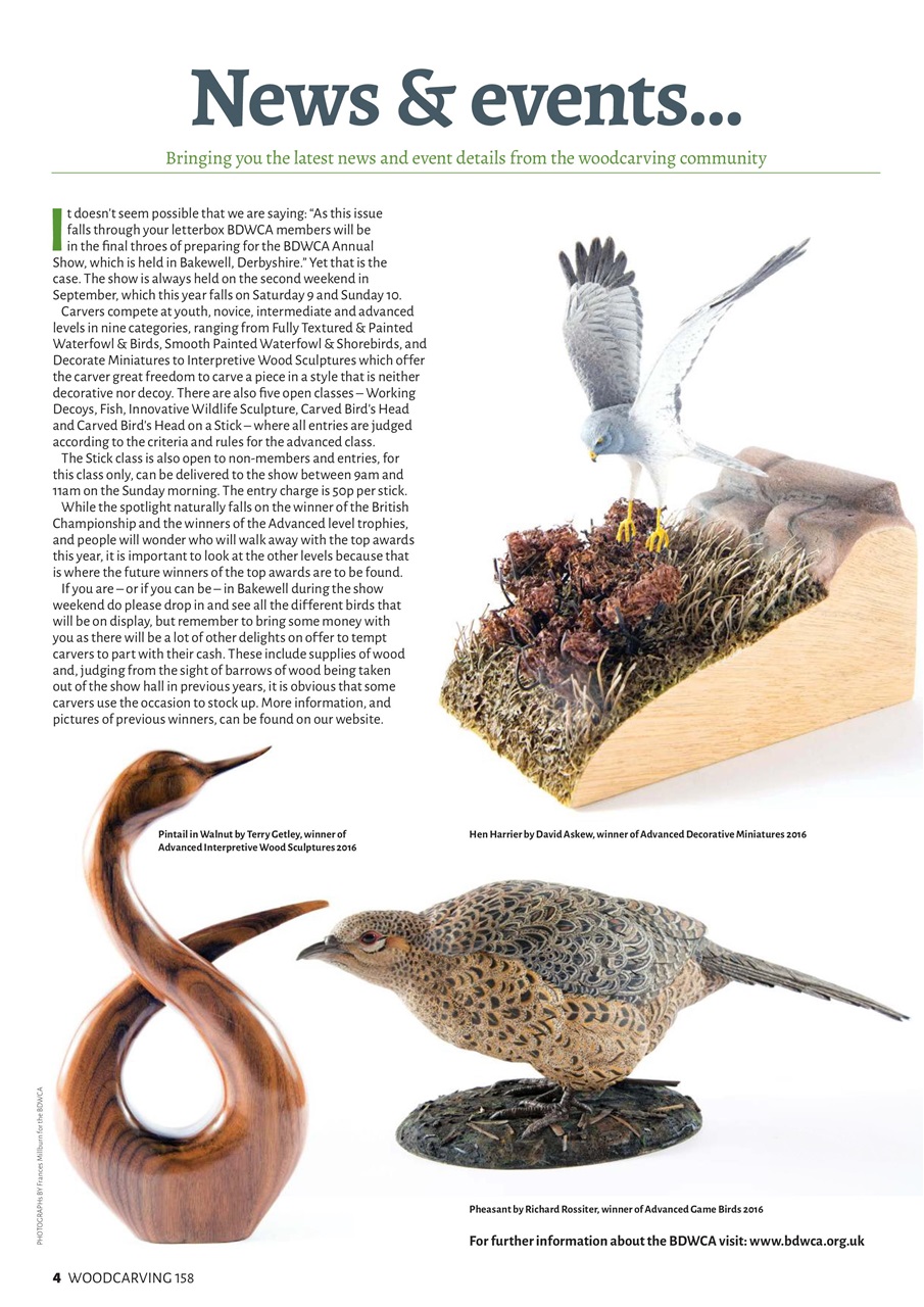 Woodcarving Preview Pages