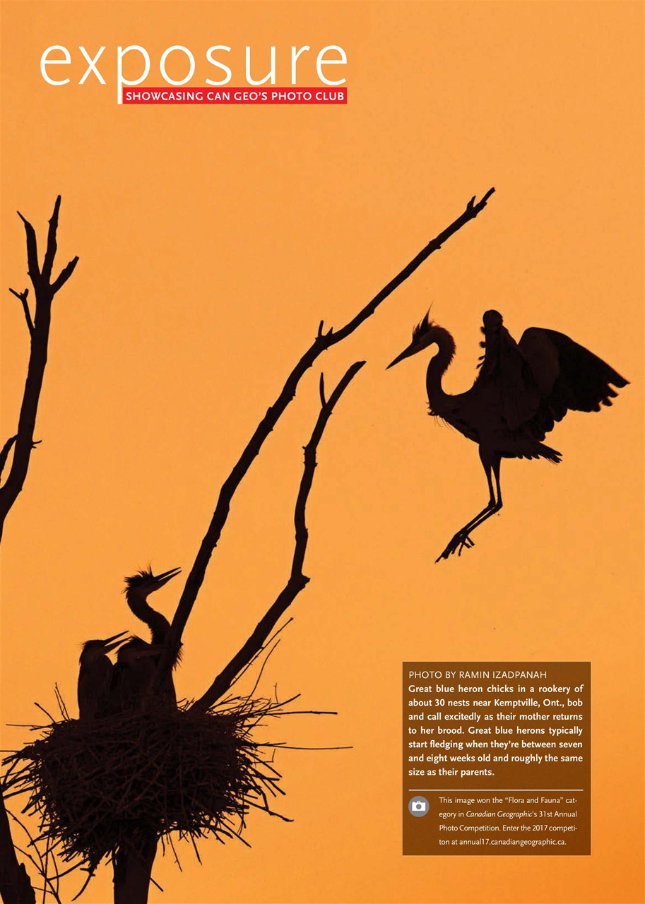 Canadian Geographic Preview Pages