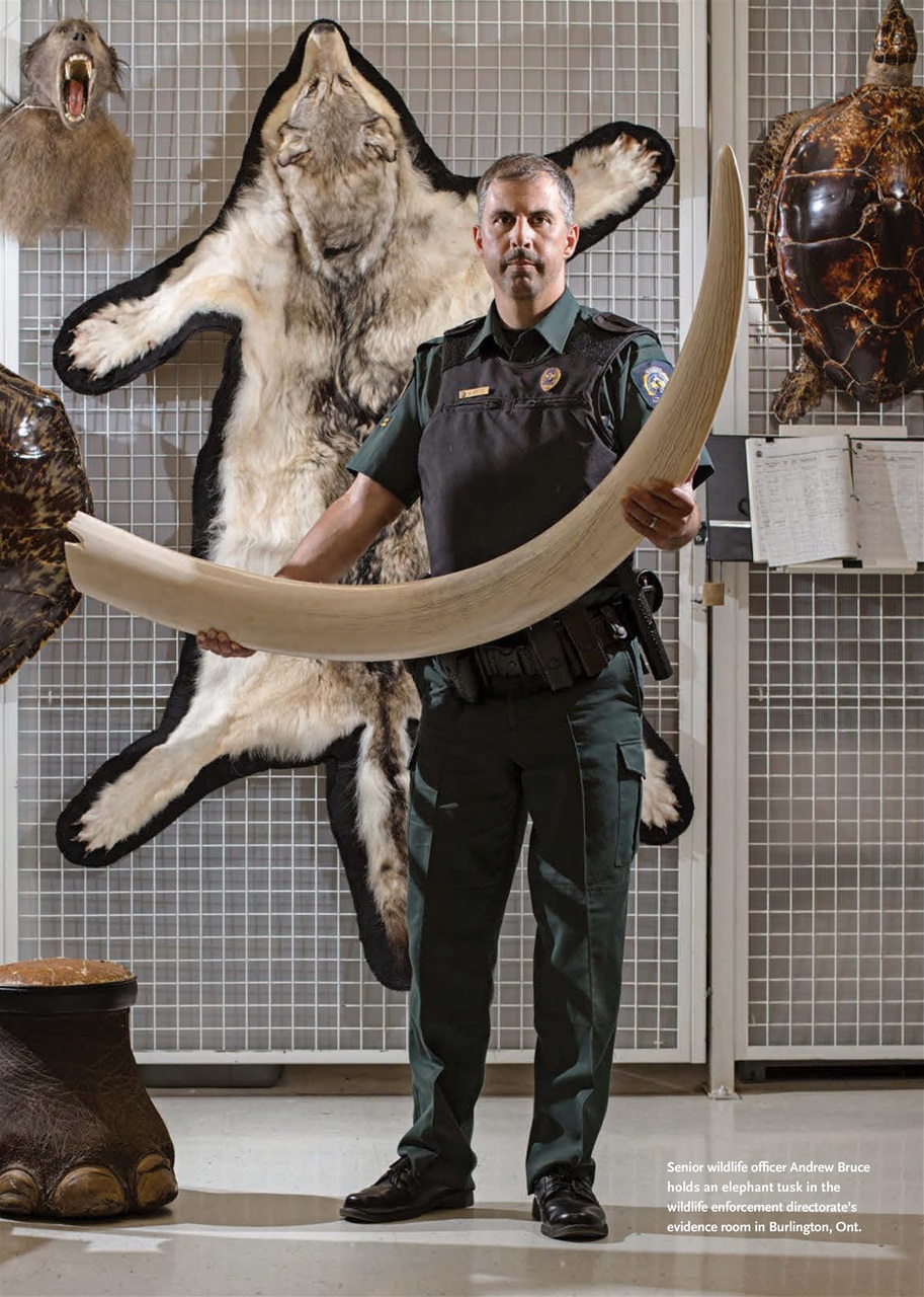 Canadian Geographic Preview Pages