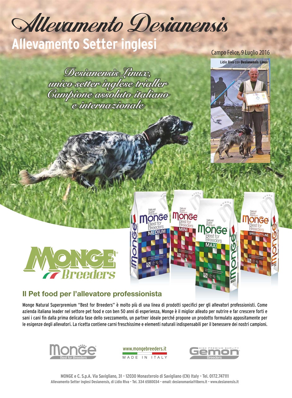 La Gazzetta Della Cinofilia Venatoria Preview Pages
