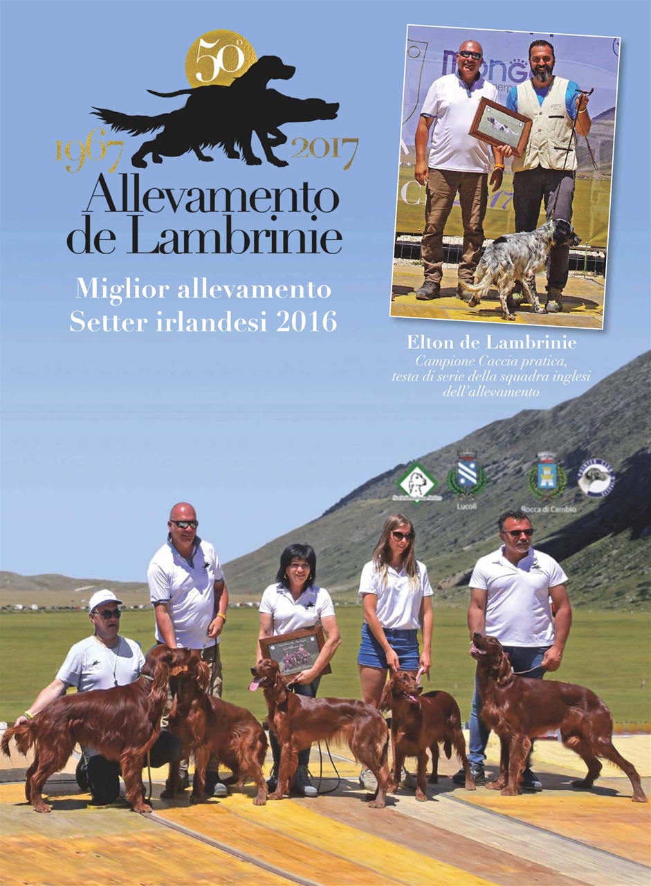 La Gazzetta Della Cinofilia Venatoria Preview Pages