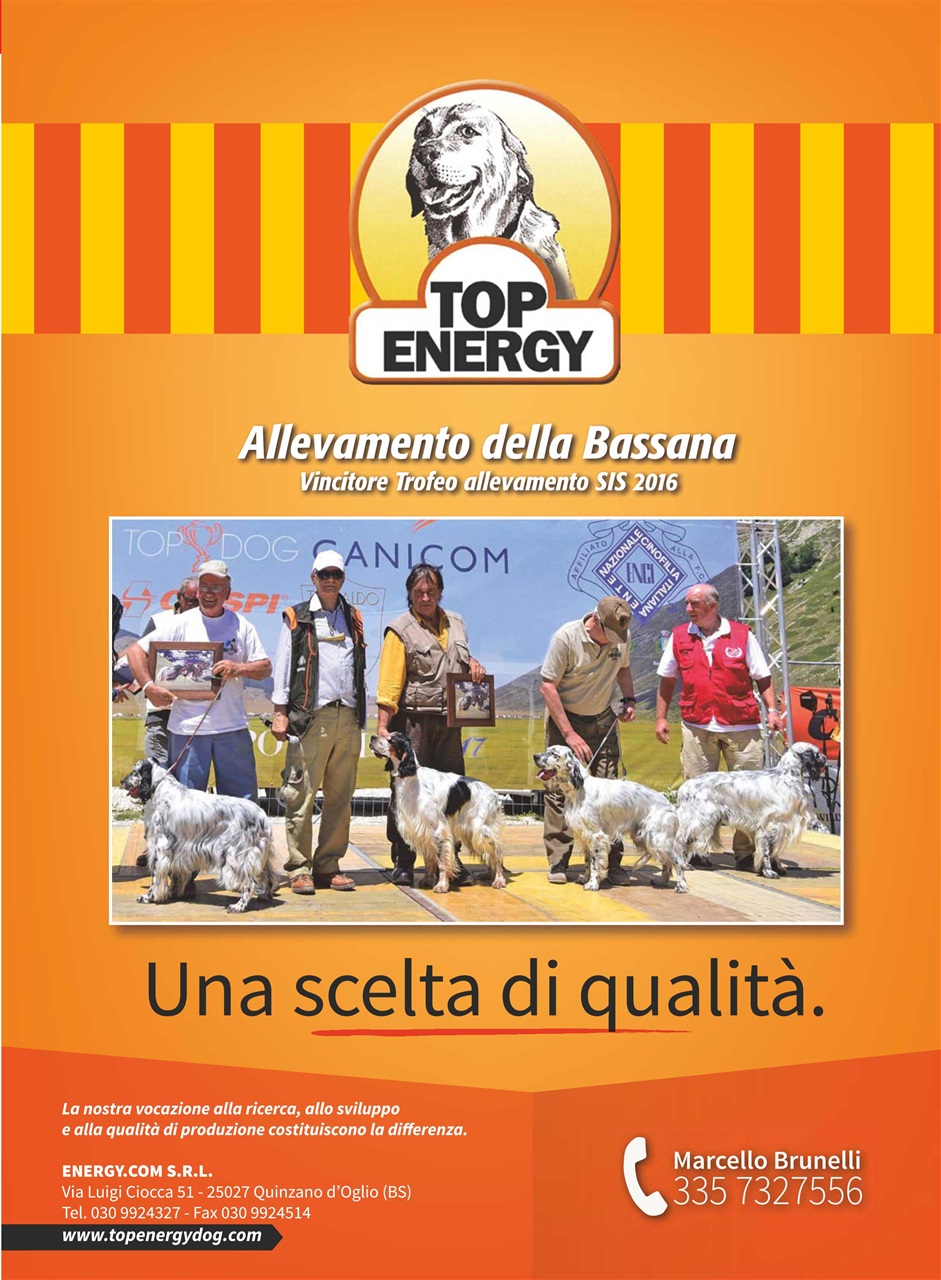 La Gazzetta Della Cinofilia Venatoria Preview Pages