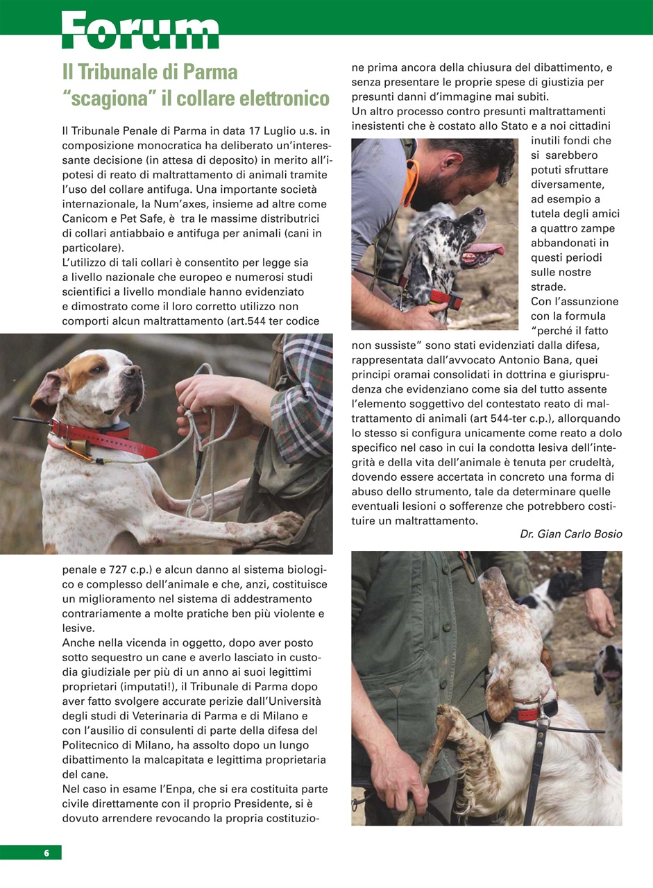 La Gazzetta Della Cinofilia Venatoria Preview Pages