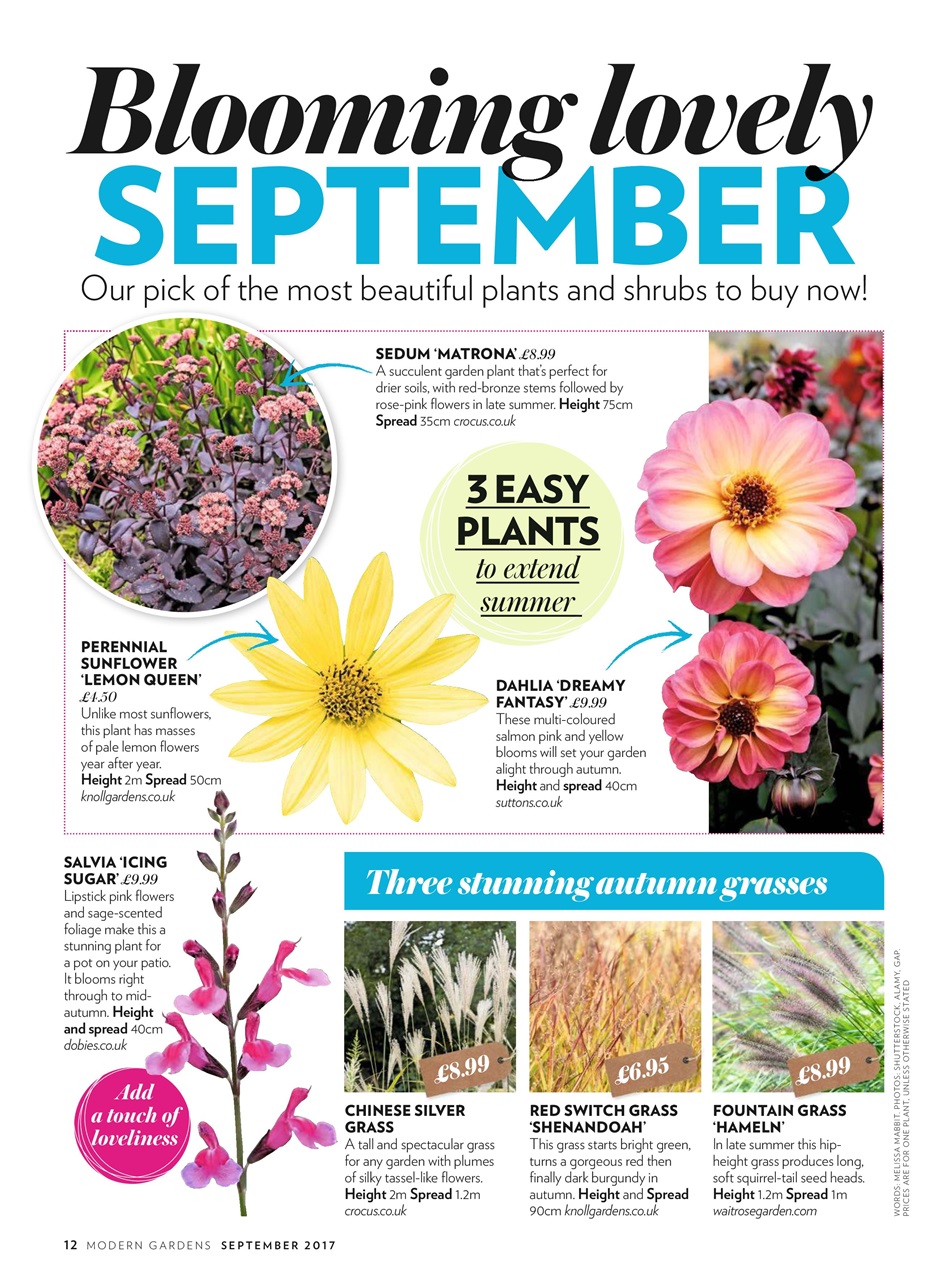 Modern Gardens Preview Pages