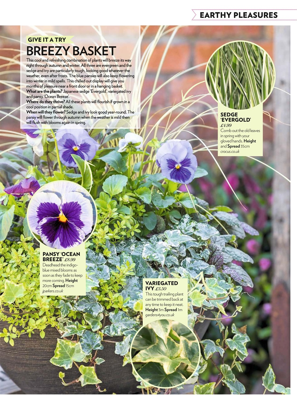 Modern Gardens Preview Pages