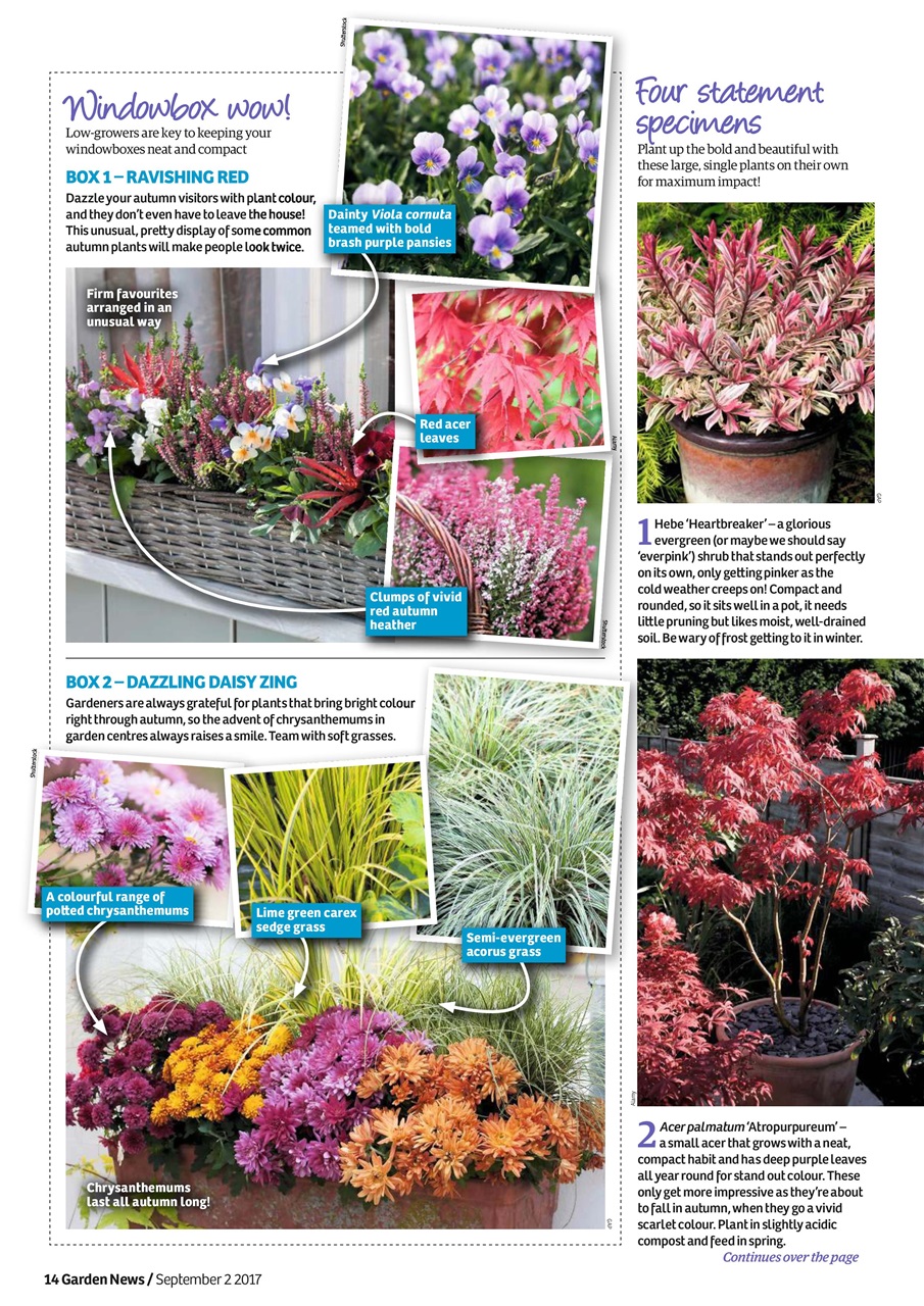 Garden News Preview Pages