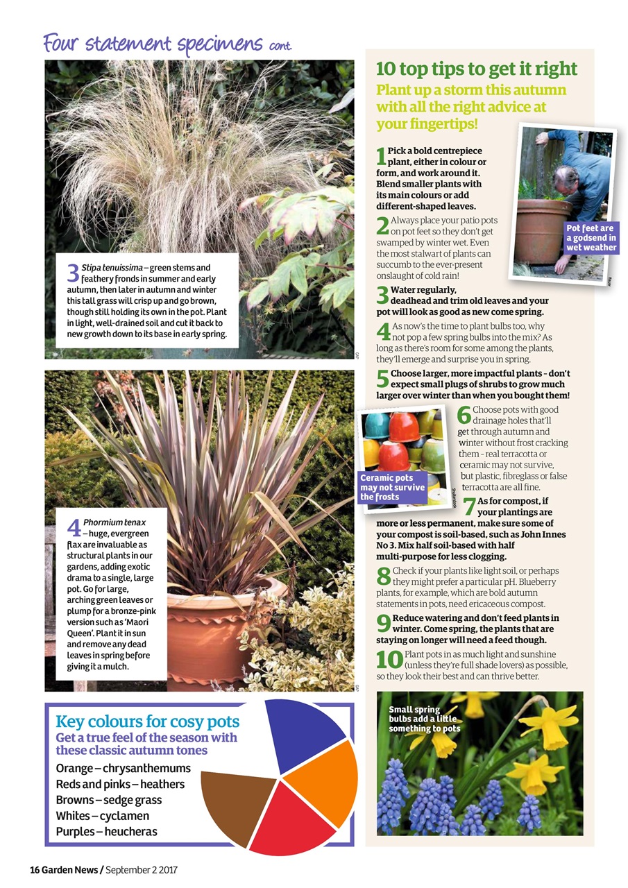 Garden News Preview Pages