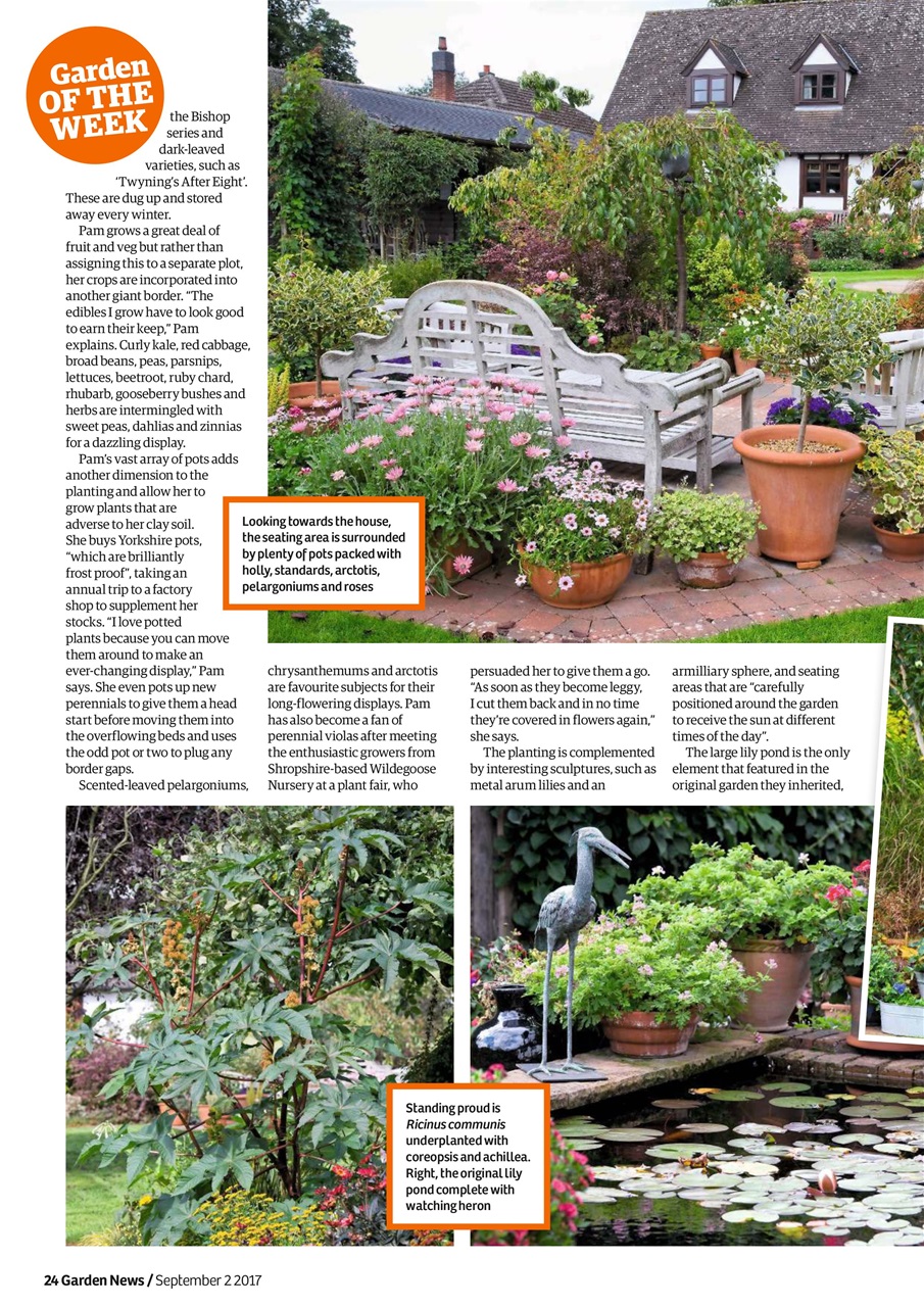 Garden News Preview Pages