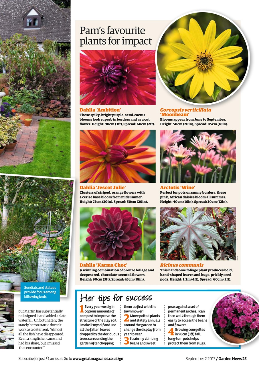 Garden News Preview Pages