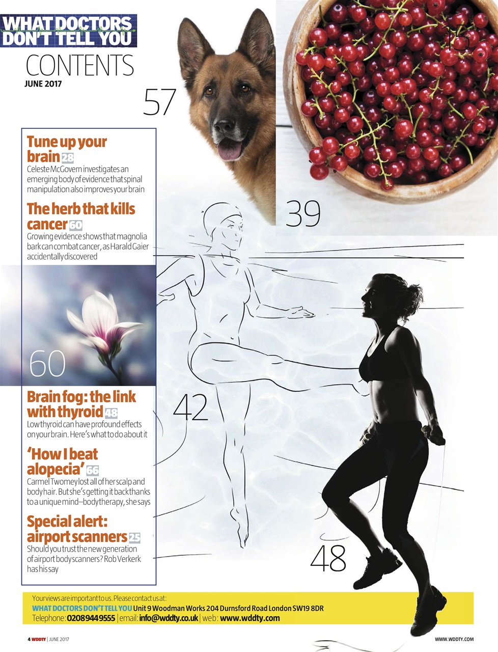 What Doctors Don't Tell You Preview Pages