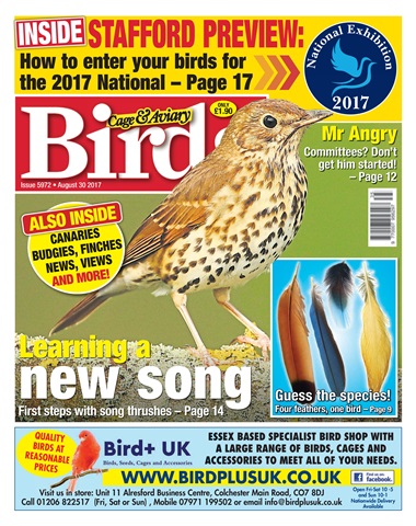Cage & Aviary Birds issue 30 August 2017