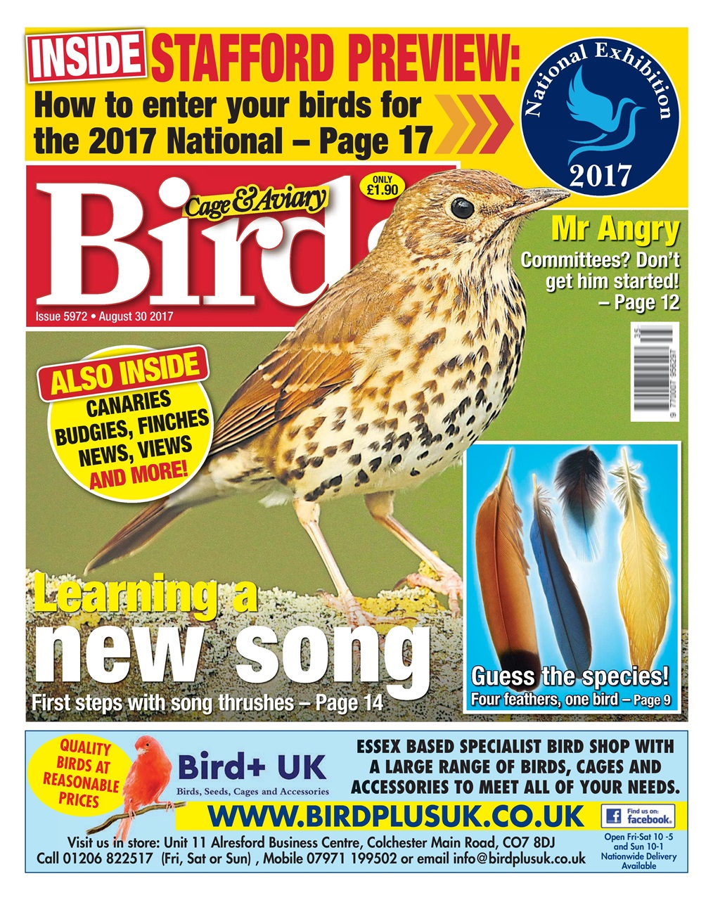 Cage & Aviary Birds Preview Pages