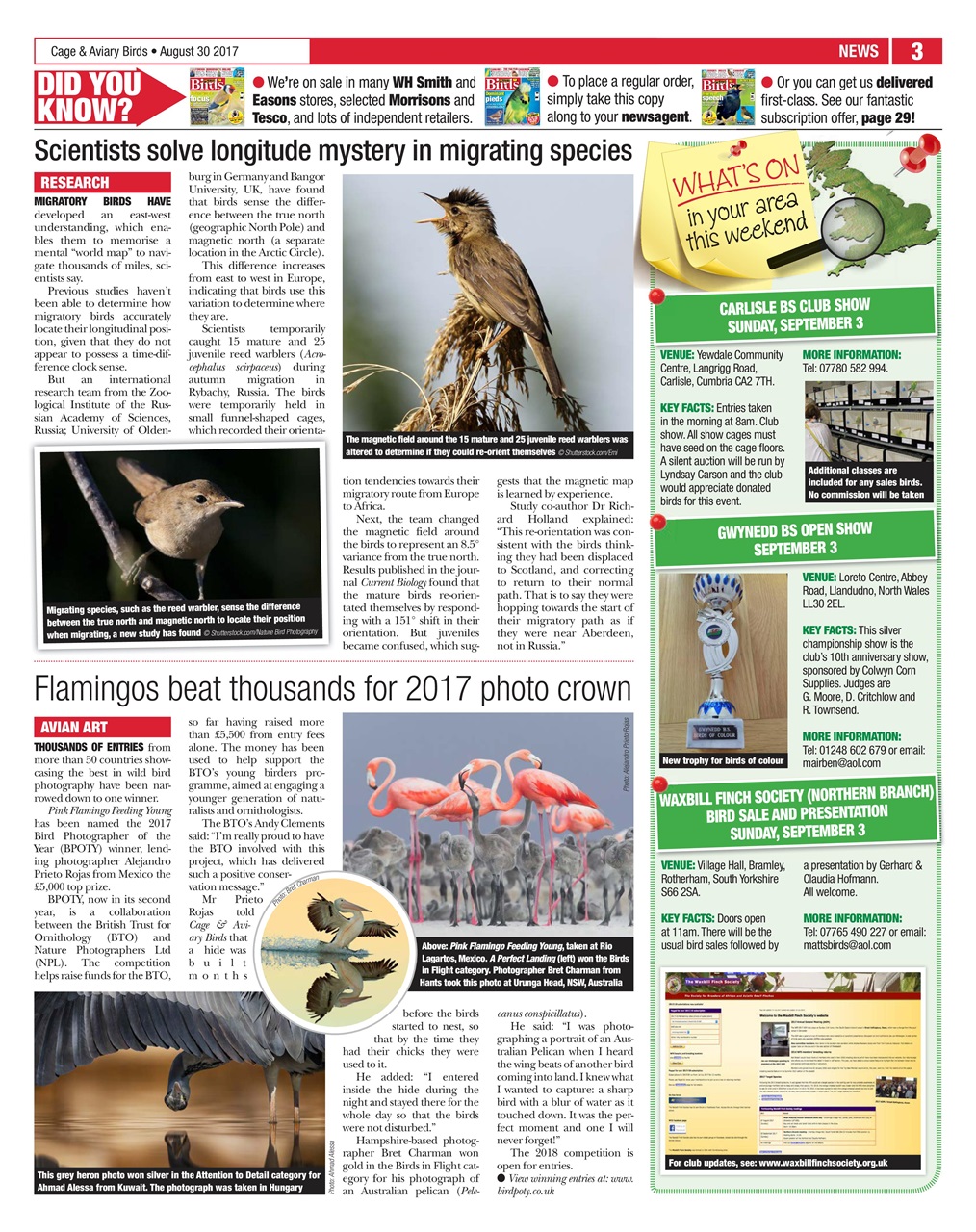 Cage & Aviary Birds Preview Pages